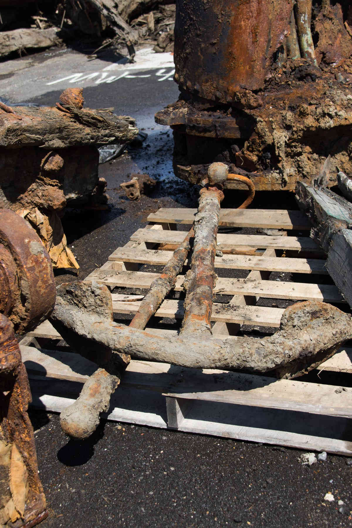 On BPR: There’s life — and artifacts — in the Gowanus Canal!